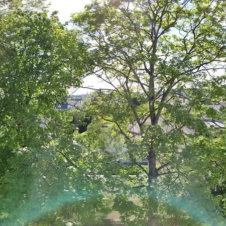 Havre De Paix En Lisiere De Foret *